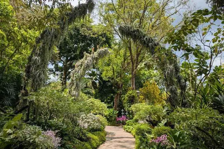 Private Half Day Singapore City Tour with Amazing Orchid Garden