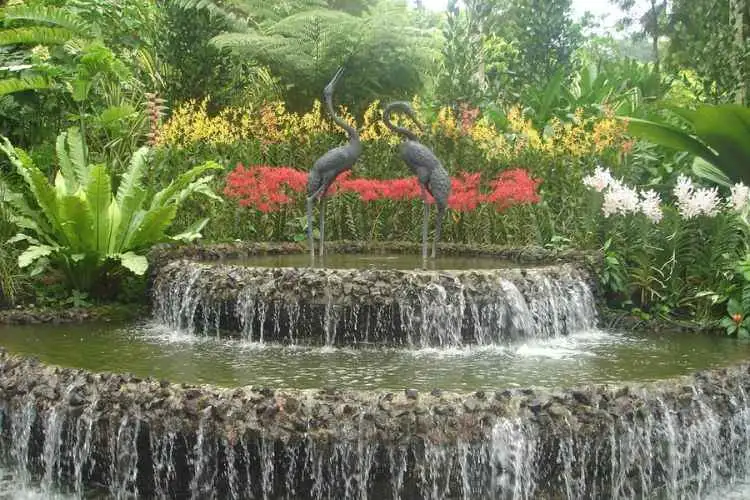 Private Half Day Singapore City Tour with Amazing Orchid Garden