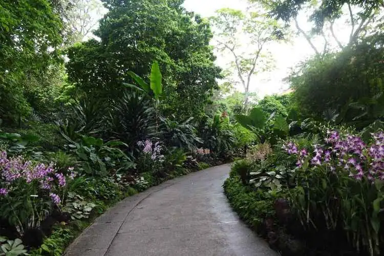 Private Half Day Singapore City Tour with Amazing Orchid Garden