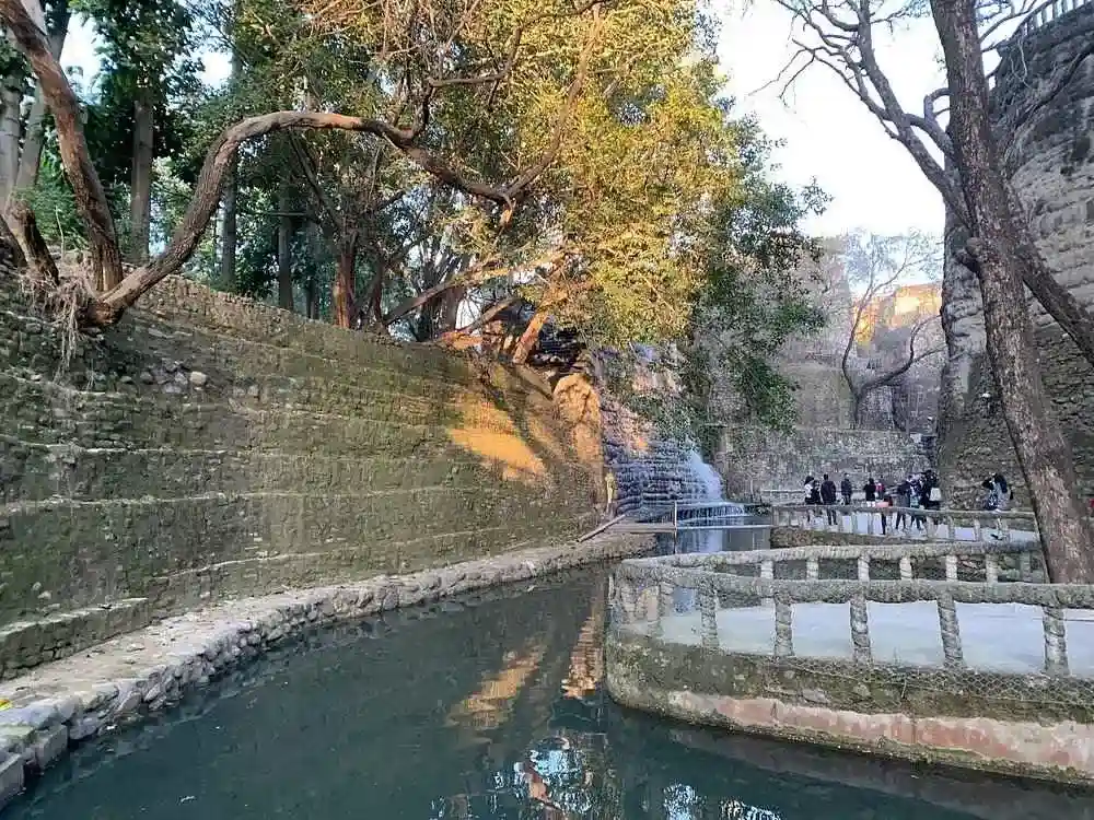 Private Chandigarh Day Tour from New Delhi Amazing City Highlights