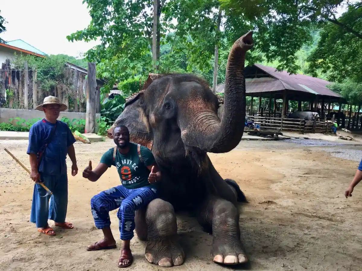 Amazing Mae Rim Tour with Elephant Ride Private Transfer Personal Guide