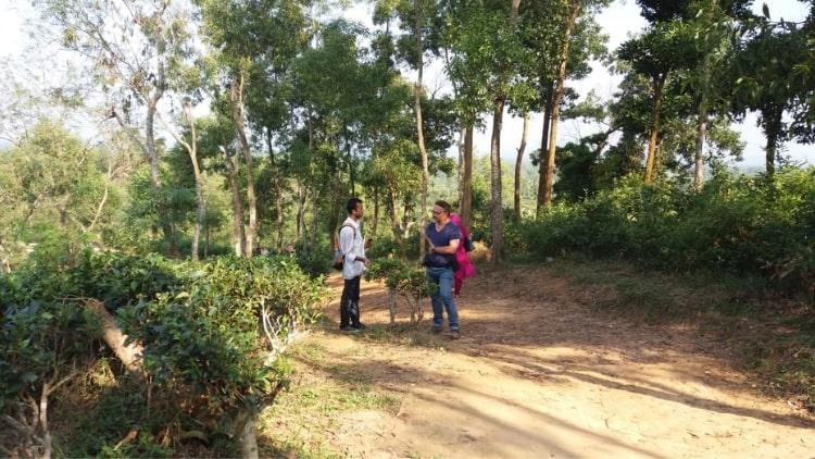 2-Day Srimangal Tour from Dhaka Discover Stunning Tea Gardens and Breathtaking Nature