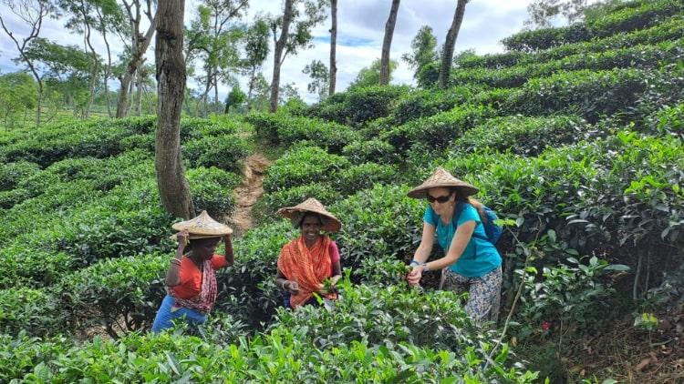2-Day Srimangal Tour from Dhaka Discover Stunning Tea Gardens and Breathtaking Nature