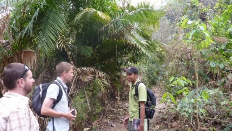 2-Day Srimangal Tour from Dhaka Discover Stunning Tea Gardens and Breathtaking Nature