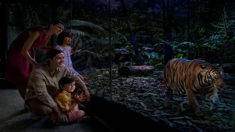 Singapore Night Safari Ticket Experience with Tram Ride