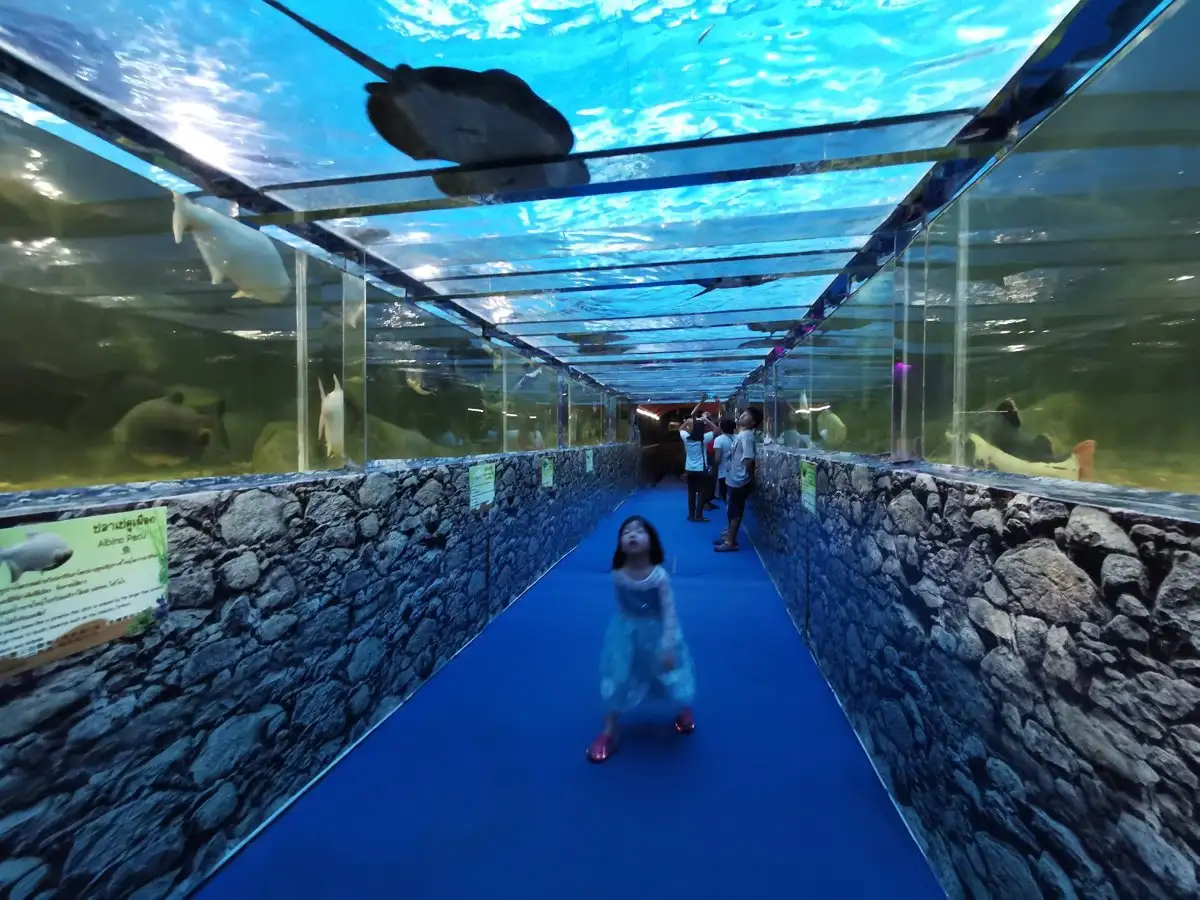 Monster Aquarium Pattaya Ticket