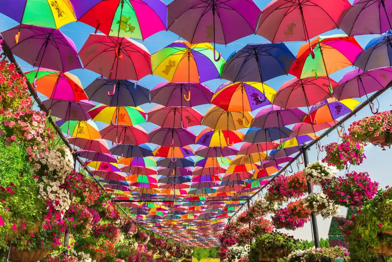 Best Price Dubai Miracle Garden Ticket See 150 Million Flowers