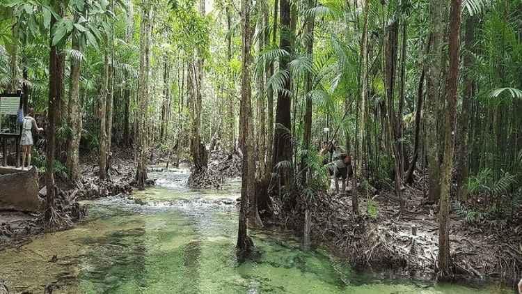 Krabi Jungle Tour-Amazing Hot Springs Emerald Pool Explore Tiger Cave Temple