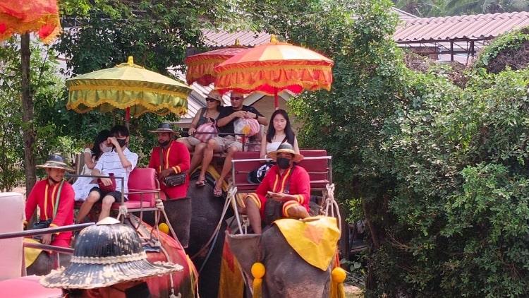 Damnoen Saduak Floating Market Tour from Bangkok Private Amazing Cultural Adventure