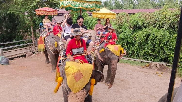 Damnoen Saduak Floating Market Tour from Bangkok Private Amazing Cultural Adventure