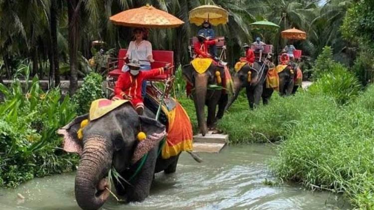 Damnoen Saduak Floating Market Tour from Bangkok Private Amazing Cultural Adventure