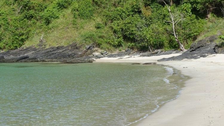 Phi Phi Islands and Maya Bay Tour by Speedboat from Krabi Ultimate Island Adventure
