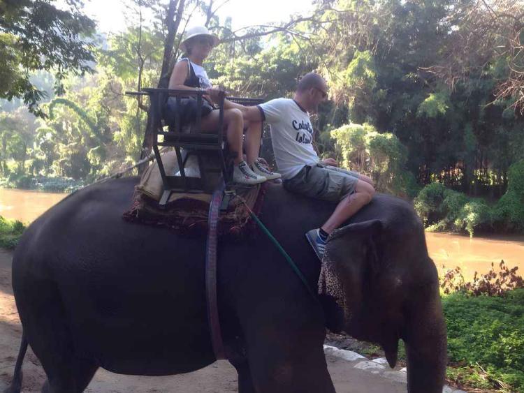 Chiang Mai Maetaeng Elephant Park Tour Experience Elephant Magic