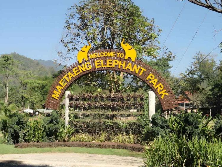 Chiang Mai Maetaeng Elephant Park Tour Experience Elephant Magic