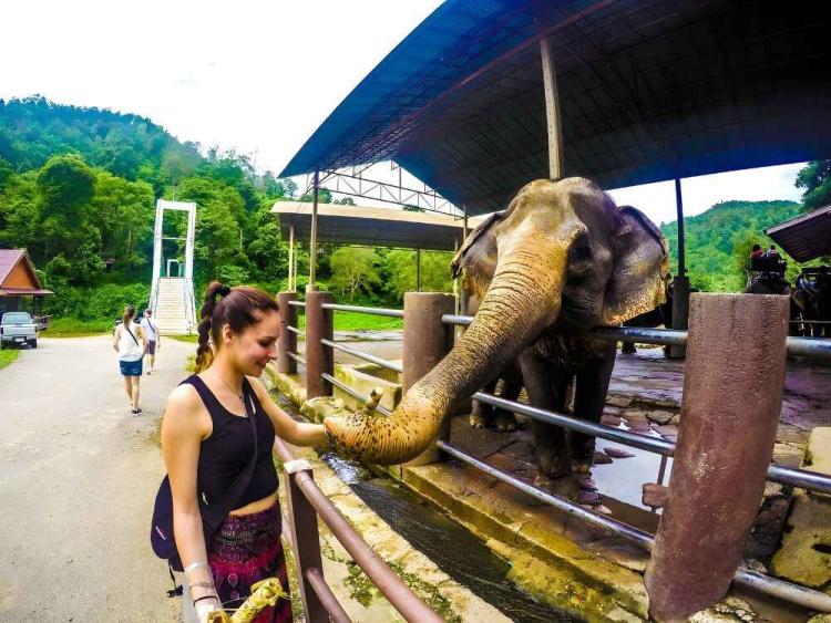Chiang Mai Maetaeng Elephant Park Tour Experience Elephant Magic