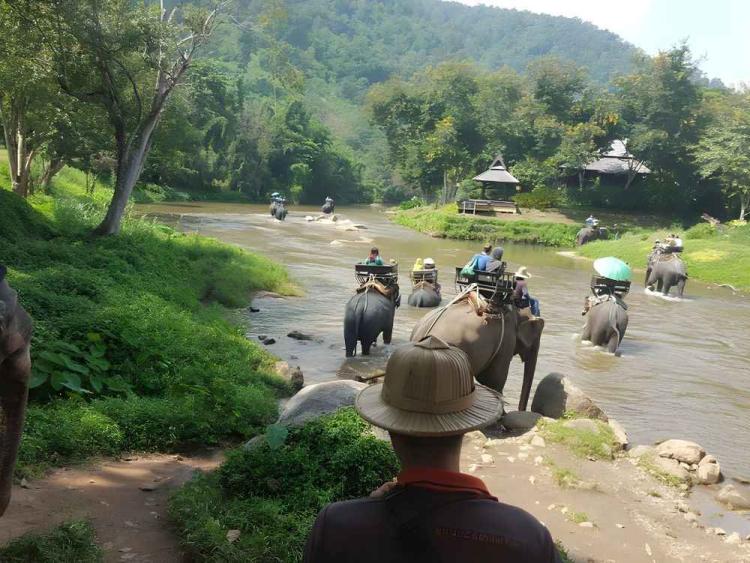 Chiang Mai Maetaeng Elephant Park Tour Experience Elephant Magic