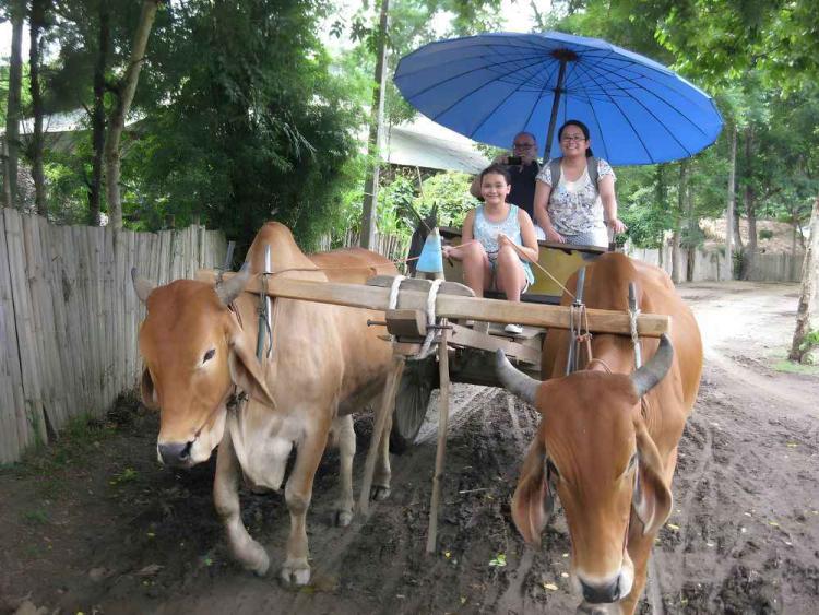 Chiang Mai Maetaeng Elephant Park Tour Experience Elephant Magic
