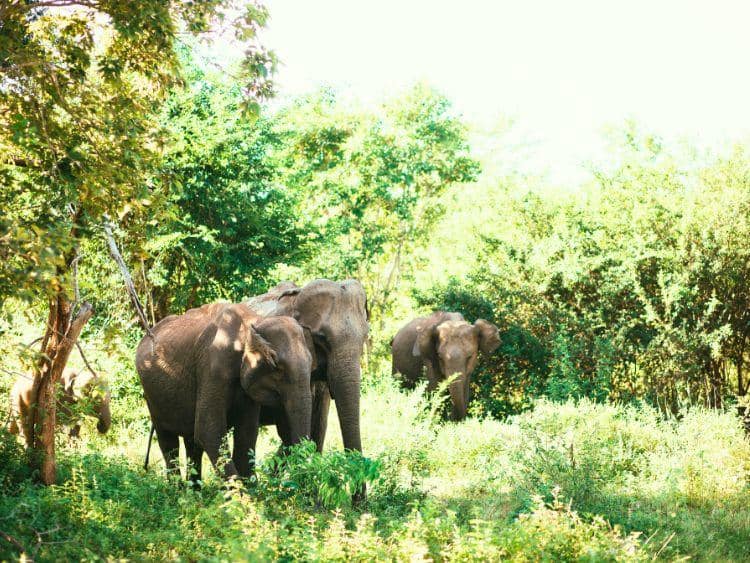 Private 2-Day Sandakan Wildlife Escape Tour with Cruise