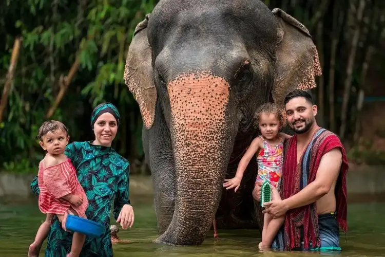 Half-Day Phuket Elephant Care Sanctuary Tour Experience for Unforgettable Joy