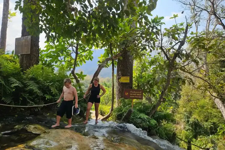 Bua Thong Sticky Waterfalls Private Tour from Chiang Mai