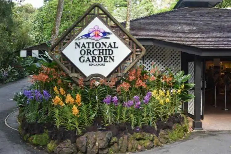 Private Half Day Singapore City Tour with Amazing Orchid Garden